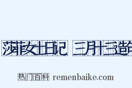 莎菲女士日记·三月十三造句是什么意思的图片